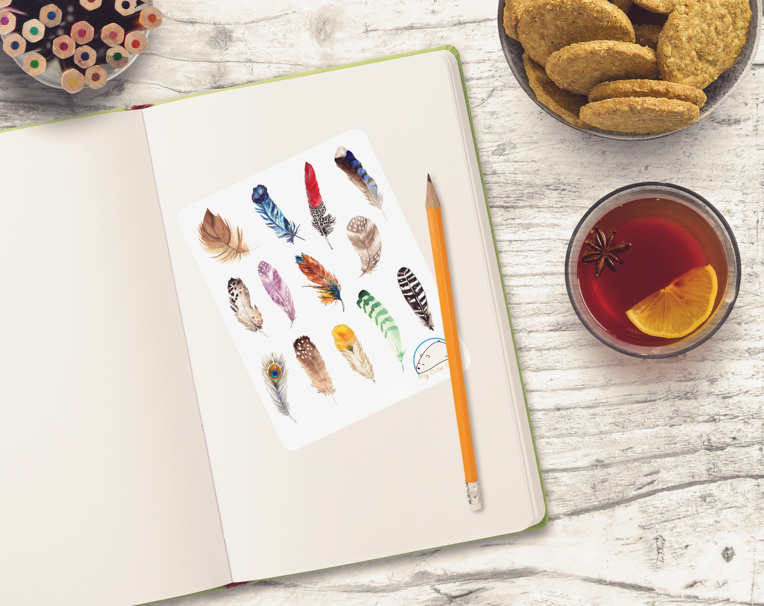 Colorful Feathers Planner Stickers | Vibrant Feather Decals for Scrapbooks, Diaries, Journals, and Creative Projects