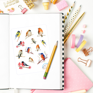 Watercolor Bird Planner Stickers | Colorful Wild Flying Animal Icons for Scrapbooks, Journals, Diaries, Crafts, Embellishments, and Organizers
